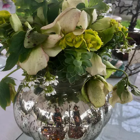 アパート Wunderbar.bodensee & Alpenblick