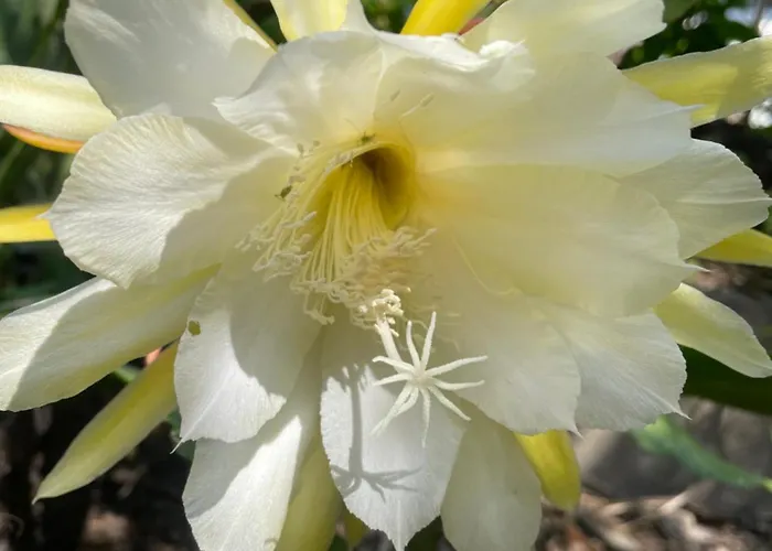 Wunderbar.bodensee & Alpenblick דירה